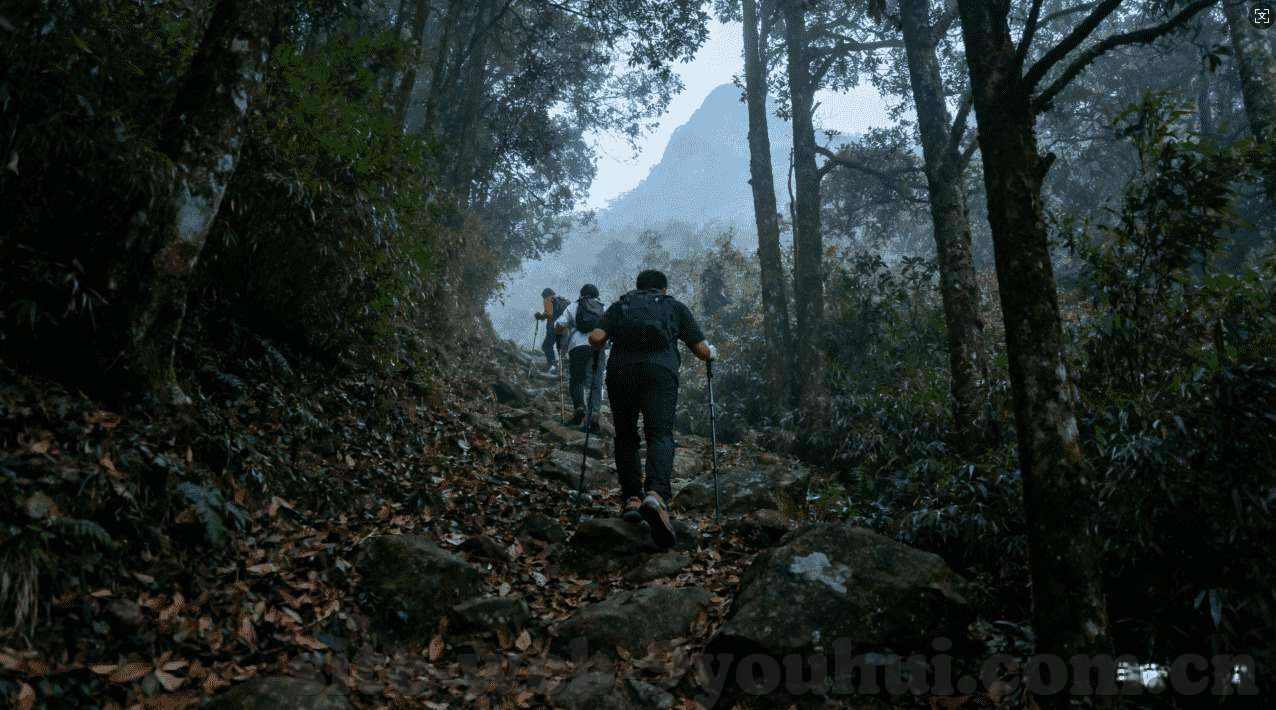 银河娱乐网站诈骗-警惕虚拟陷阱，揭秘银河娱乐诈骗网站背后的秘密
